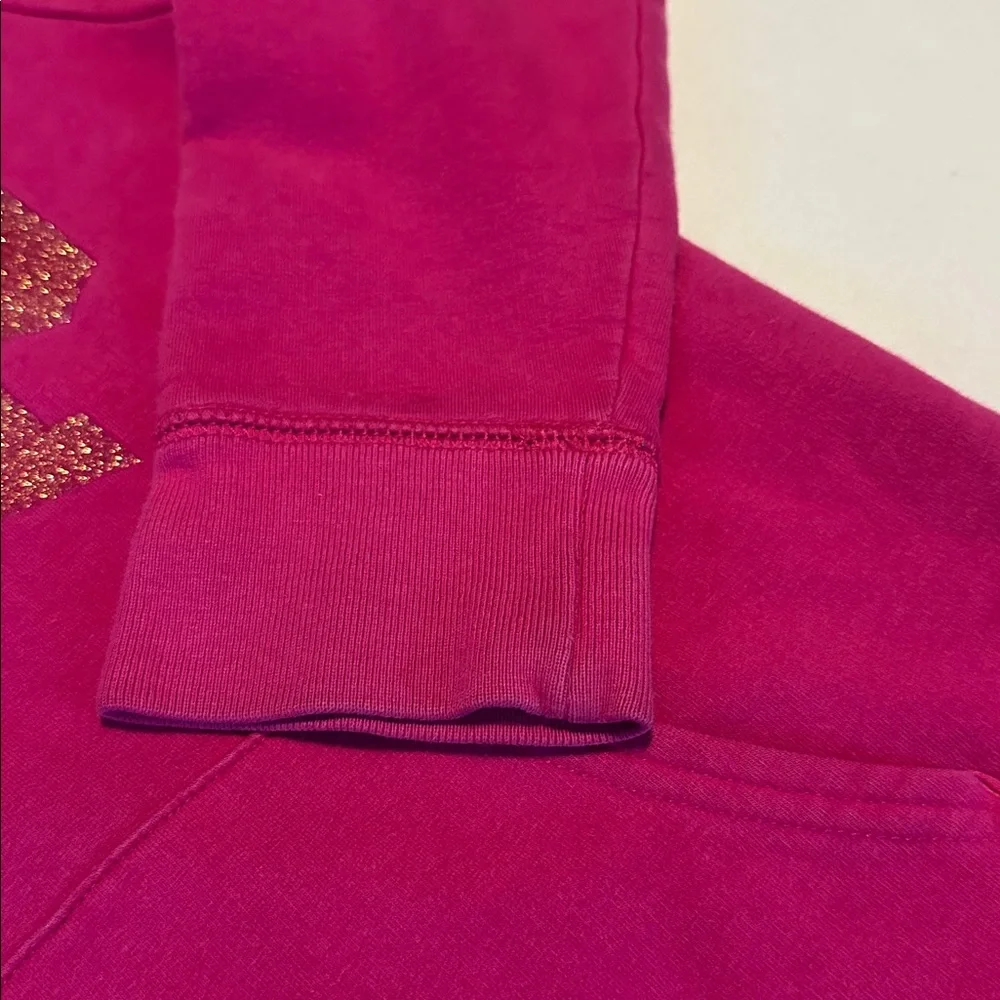 GAP Kids Fuchsia Hoodie